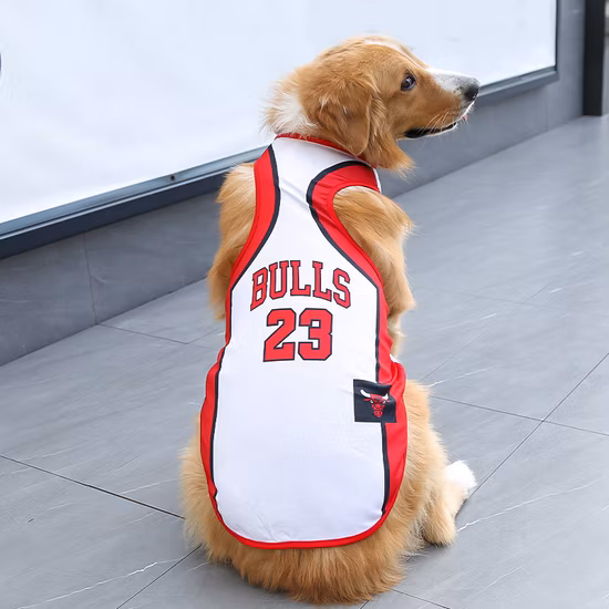 Custom-Made Architectural Stone Waterjet Green and Beige Stone Marble Wall Middle Borders